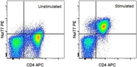 Nur77 Monoclonal Antibody (12.14), PE, eBioscience
