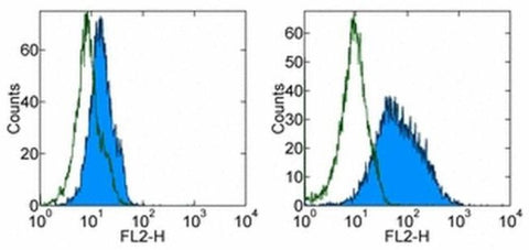 CD276 (B7-H3) Monoclonal Antibody (M3.2D7), PE, eBioscience
