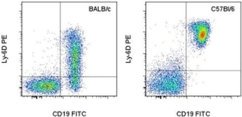 Ly-6D Monoclonal Antibody (49-H4), PE, eBioscience