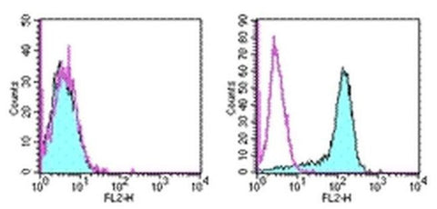 CD273 (B7-DC) Monoclonal Antibody (TY25), PE, eBioscience