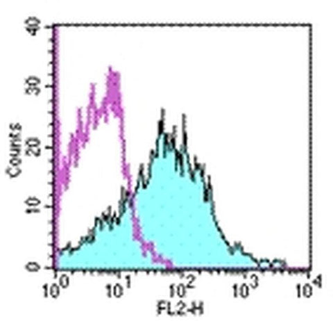 CD107b (LAMP-2) Monoclonal Antibody (M3/84), PE, eBioscience
