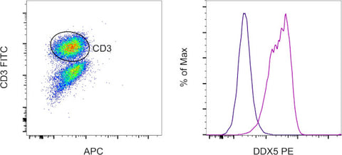 DDX5 Monoclonal Antibody (Ab204), PE, eBioscience