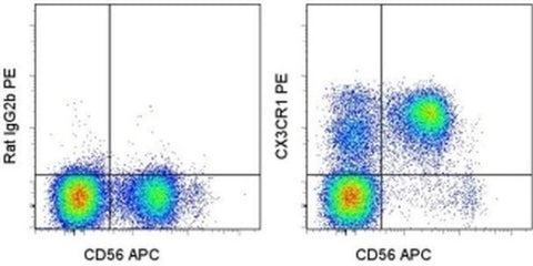 CX3CR1 Monoclonal Antibody (2A9-1), PE, eBioscience