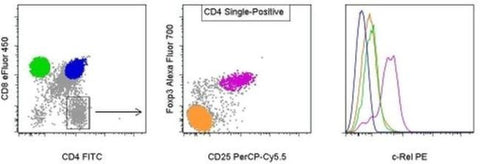 c-Rel Monoclonal Antibody (1RELAH5), PE, eBioscience