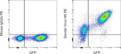 Sendai virus HN Monoclonal Antibody (1A6), PE, eBioscience