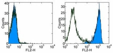 CD254 (RANK Ligand) Monoclonal Antibody (MIH24), PE, eBioscience