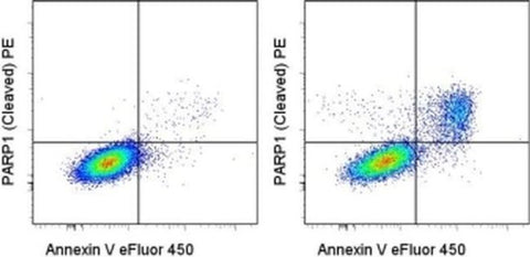 PARP1 (cleaved Asp214) Monoclonal Antibody (HLNC4), PE, eBioscience