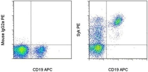 Syk Monoclonal Antibody (4D10.1), PE, eBioscience