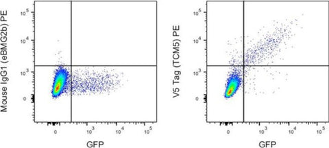 V5 Tag Monoclonal Antibody (TCM5), PE, eBioscience