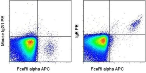 IgE Monoclonal Antibody (Ige21), PE, eBioscience