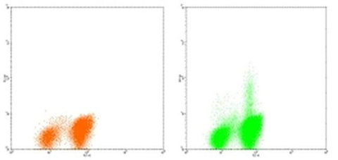 IL-4 Monoclonal Antibody (8D4-8), PE, eBioscience