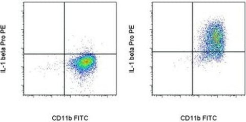 IL-1 beta (Pro-form) Monoclonal Antibody (NJTEN3), PE, eBioscience