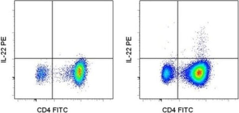 IL-22 Monoclonal Antibody (1H8PWSR), PE, eBioscience