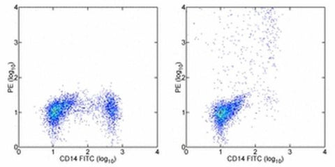 IL-12/IL-23 p40 Monoclonal Antibody (eBioHP40 (HP40, HP-40)), PE, eBioscience