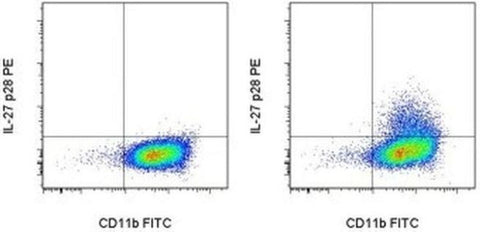 IL-27 p28 Monoclonal Antibody (MM27-7B1), PE, eBioscience