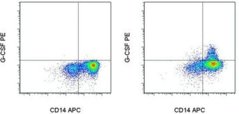 G-CSF Monoclonal Antibody (8F5CSF), PE, eBioscience