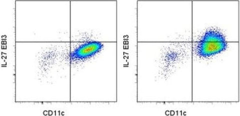 EBI3 (IL-27 subunit) Monoclonal Antibody (ebic6), PE, eBioscience