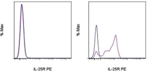 IL-25R (IL-17RB) Monoclonal Antibody (MUNC33), PE, eBioscience