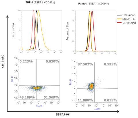 SSEA1 Monoclonal Antibody (eBioMC-480 (MC-480)), PE, eBioscience