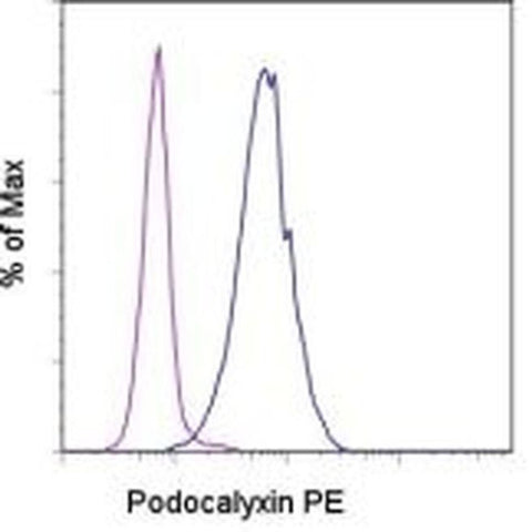 Podocalyxin Monoclonal Antibody (B34D1.3), PE, eBioscience