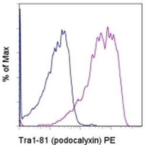 TRA-1-81 (Podocalyxin) Monoclonal Antibody (TRA-1-81), PE, eBioscience