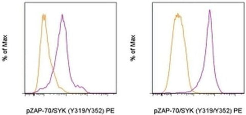 Phospho-ZAP70/Syk (Tyr319, Tyr352) Monoclonal Antibody (n3kobu5), PE, eBioscience