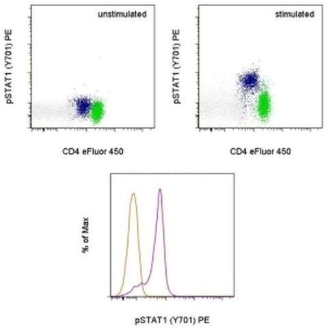 Phospho-STAT1 (Tyr701) Monoclonal Antibody (KIKSI0803), PE, eBioscience