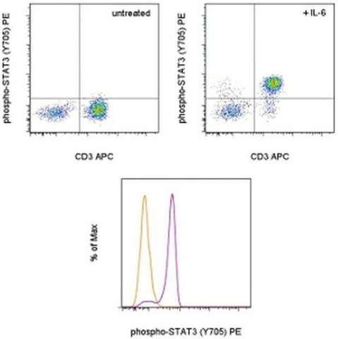 Phospho-STAT3 (Tyr705) Monoclonal Antibody (LUVNKLA), PE, eBioscience