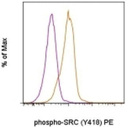 Phospho-SRC (Tyr418) Monoclonal Antibody (SC1T2M3), PE, eBioscience