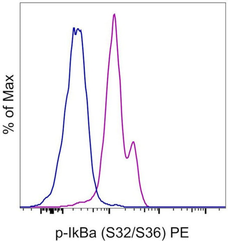 Phospho-IkB alpha (Ser32, Ser36) Monoclonal Antibody (RILYB3R), PE, eBioscience