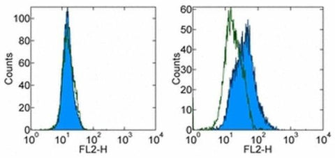 CD289 (TLR9) Monoclonal Antibody (eB72-1665), PE, eBioscience