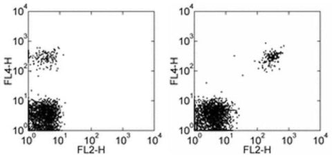 CD268 (BAFF Receptor) Monoclonal Antibody (8A7), PE, eBioscience