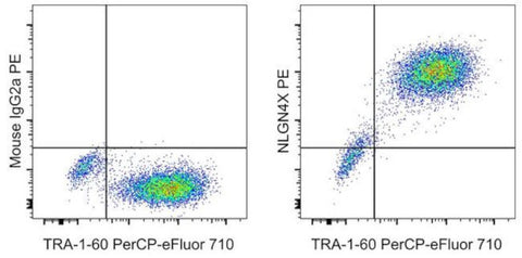 NLGN4X (Neuroligin-4) Monoclonal Antibody (CSTEM30), PE, eBioscience