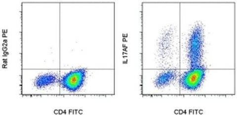 IL-17AF Monoclonal Antibody (B8KN8R), PE, eBioscience