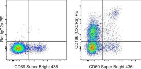 CD186 (CXCR6) Monoclonal Antibody (DANID2), PE, eBioscience