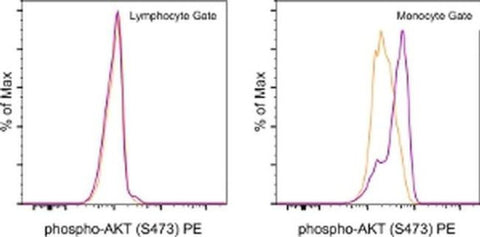 Phospho-AKT1 (Ser473) Monoclonal Antibody (SDRNR), PE, eBioscience