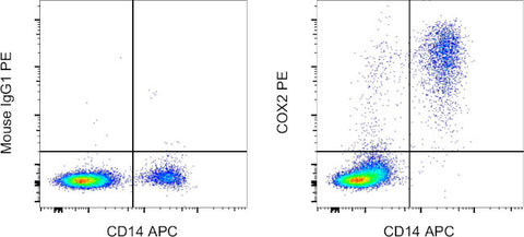 COX2 Monoclonal Antibody (COX 229), PE, eBioscience