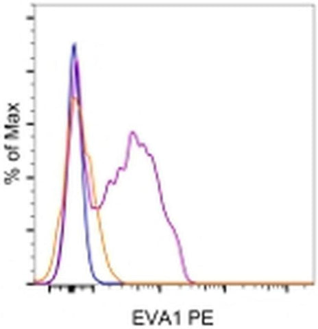 EVA1 Monoclonal Antibody (G9P3-1), PE, eBioscience