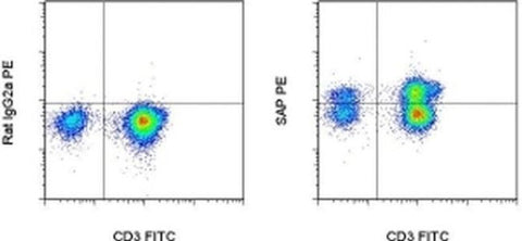 SAP (SLAM-Associated Protein) Monoclonal Antibody (XLP-1D12), PE, eBioscience