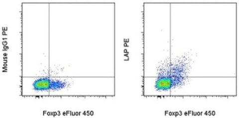 LAP (Latency Associated peptide) Monoclonal Antibody (TW7-16B4), PE, eBioscience