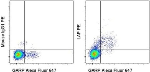LAP (Latency Associated peptide) Monoclonal Antibody (FNLAP), PE, eBioscience