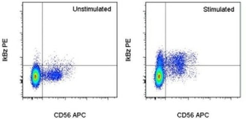 IkB zeta Monoclonal Antibody (hft2nap), PE, eBioscience