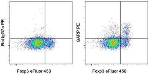 GARP Monoclonal Antibody (G14D9), PE, eBioscience