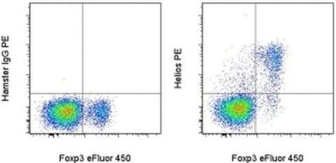 HELIOS Monoclonal Antibody (22F6), PE, eBioscience