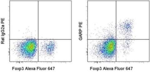 GARP Monoclonal Antibody (YGIC86), PE, eBioscience