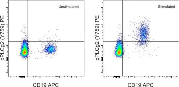Phospho-PLCG2 (Tyr759) Monoclonal Antibody (4NPRN4), PE, eBioscience ...