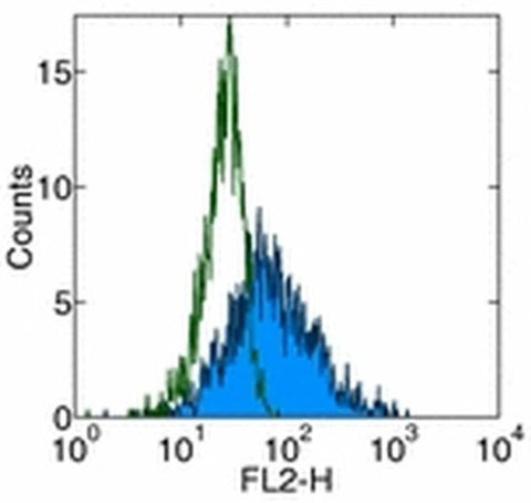 CD178 (Fas Ligand) Monoclonal Antibody (NOK-1), PE, eBioscience