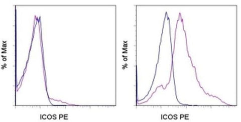 CD278 (ICOS) Monoclonal Antibody (ISA-3), PE, eBioscience