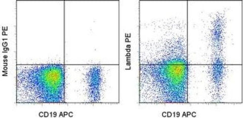 Lambda light chain Monoclonal Antibody (1-155-2), PE, eBioscience