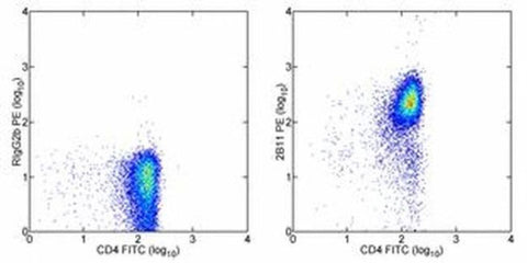 CD184 (CXCR4) Monoclonal Antibody (2B11), PE, eBioscience